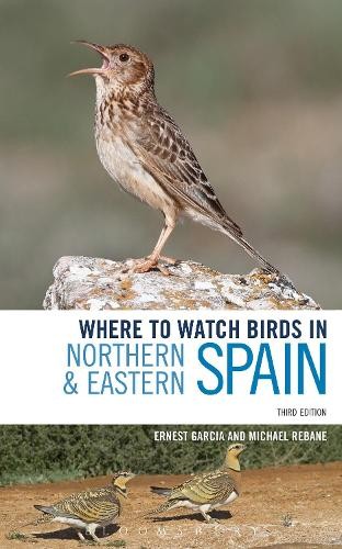 Where watch birds in - to,