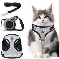 Katzengeschirr mit Leine