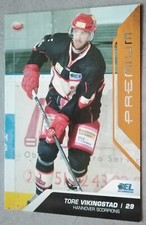 212 Tore Vikingstad Hannover