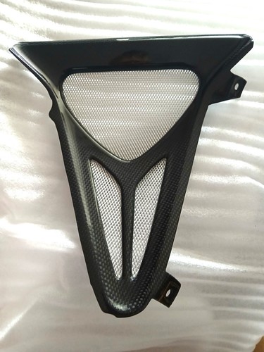 Yamaha verkleidung v - r6, r