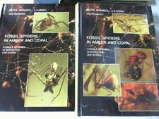 Fossils Spiders in Amber and