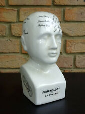 Phrenologie Kopf L.N. Fowler Medizin Arzt Anatomie Büste Antik Stil Deko Figur