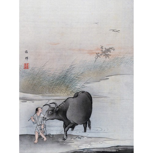 Hashimoto gaho kreuzung kuh - hashimoto,