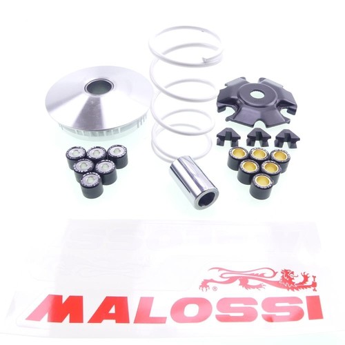 Variomatik malossi multivar - variomatik,