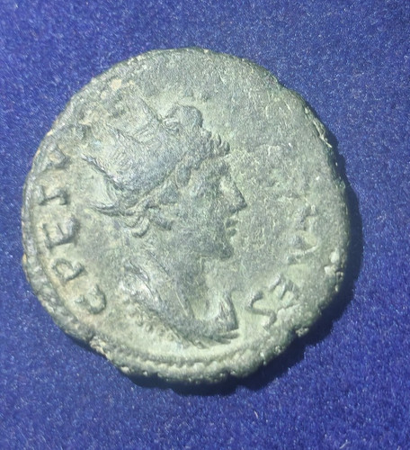 Seltene tetricus - seltene,