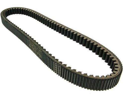 Keilriemen dayco power - power, plus