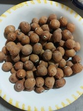 Königin Palme 25 frische Samen romanzoffianische Kokospalme