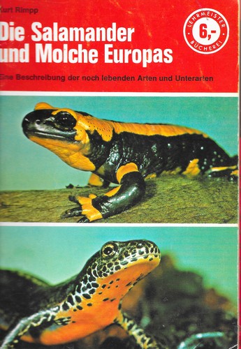 Die salamander und molche - und,