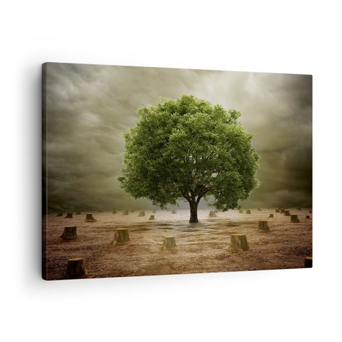 Wandbilder 70x50cm