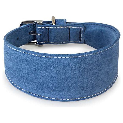 Das lederband windhundhalsband - das,