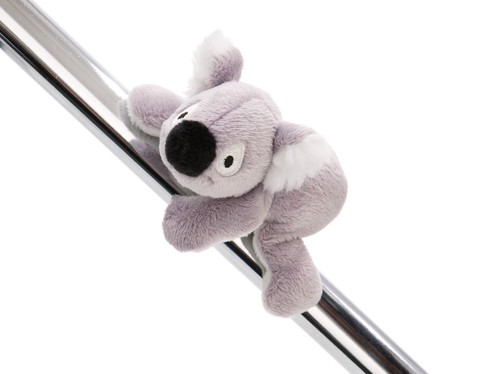 Nici magnici koala barry 12cm - koala,
