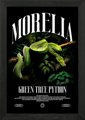 Green tree python poster - green,