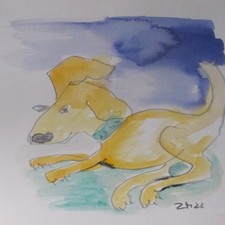 Hund Original Zeichnung Kunst
