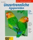 Unzertrennliche agaporniden - unzertrennliche,