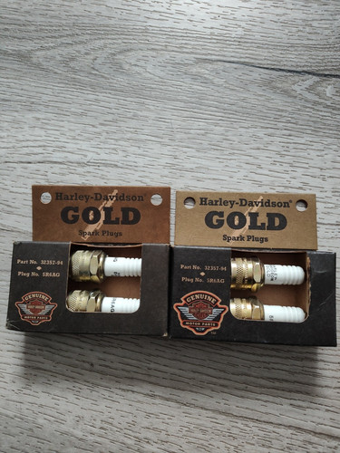 Paar harley davidson - harley,