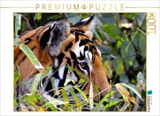 CALVENDO Puzzle Lauernder