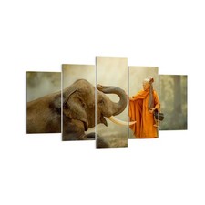 Wandbilder 160x85cm 5 tlg