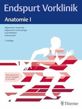 Endspurt Vorklinik: Anatomie