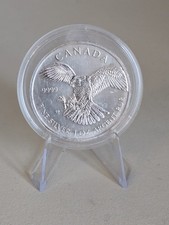 Silbermünze Weißkopfseeadler 2014 5 $ Greifvogel 1oz 0,9999 in Kapsel