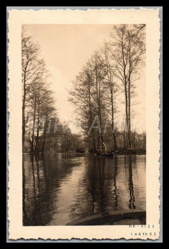 Foto familie aus radebeul - familie,