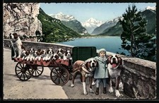 AK Mädchen mit ihren