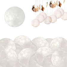 60 Stück Muschel Perlmutt