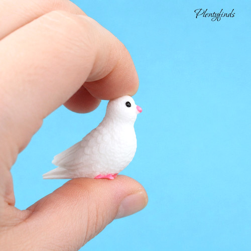Miniatur weiße taube - miniatur,