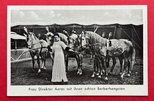 AK ZIRKUS um 1925 Frau Direktor Aeros mit Berberhengsten Pferd Typen   ( 119732