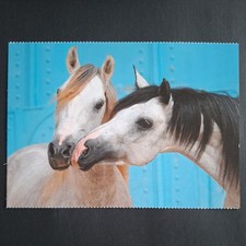 Pferdepostkarte AK Pferd Korsch Vollblutaraber und Berber 09/2018