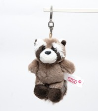 Nici waschbär rob raccoon - waschbär,