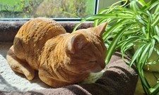 DekoFigur Katze wetterfest