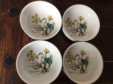 Villeroy & Boch Botanica Dessertschle Müslischale 13,5 cm gebraucht top wie neu