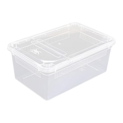 Klar terrarium lebensraum - terrarium,
