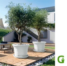 Venezia Cilindro Blumentopf