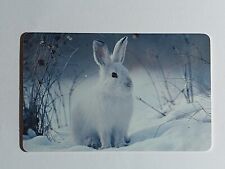 PD 13.02 - Arktische Tierwelt - Schneeschuhhase - Chip 37 - gebraucht