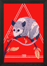 Opossum Gerahmtes Wandbild