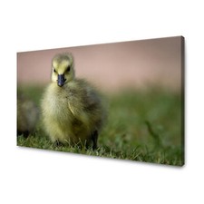 CANVAS Leinwandbilder Bilder XXL Wandbilder Kunstdruck Tiere - Gelbe Ente
