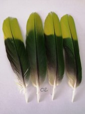 4 Stück Grün /Hellgrün