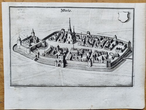 Werle merian original - werle,