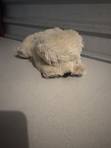 Steiff lamm lamb - steiff, 038990
