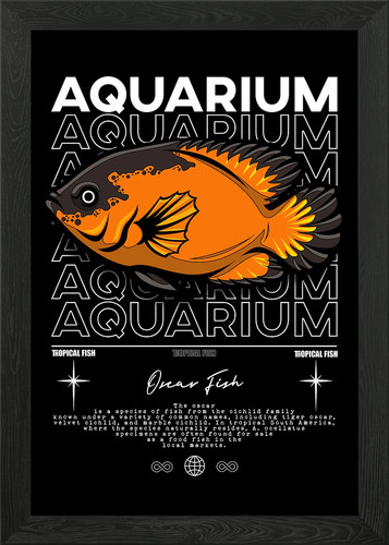 Oscar fische aquarium poster - oscar,