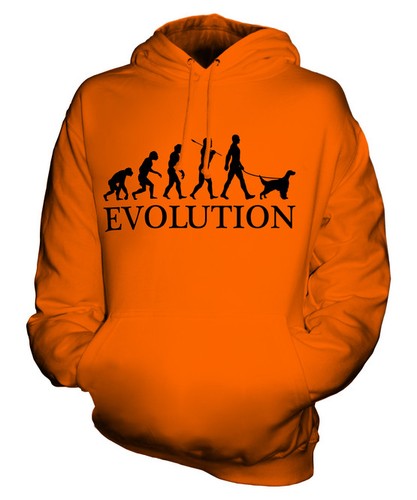 English setter evolution - english,