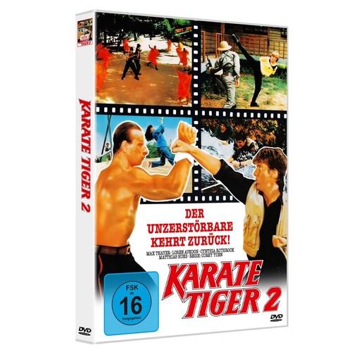 Raging thunder karate tiger - thunder,