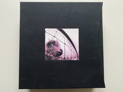 Pearl jam vitalogy - -,