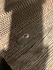 Mercedes R230 SL 500 55 350 600 Antenne Kegel Silber