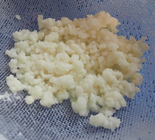 Echter Milch Kefir, 10g