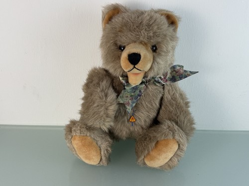 Sammler teddy bär - sammler,