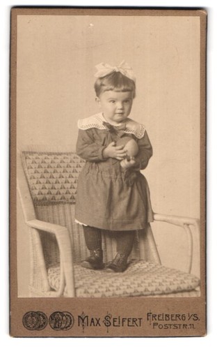 Fotografie max seifert - fotografie,