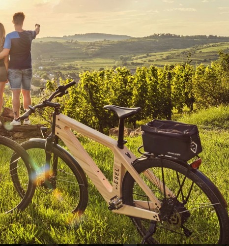 Esel tour plus - esel, e-tour