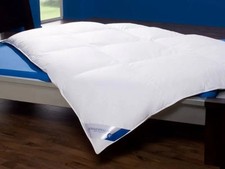 Böhmerwald Daunen Klassik